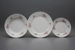 Plate set Opera Pink roses S/M 12-piece ABB