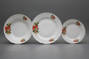 Plate set Verona Poinsettia 12-piece CGL