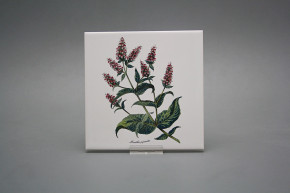 Set of tiles COLOR ONE 15x15cm Herbs 6-piece WL