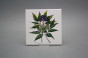 Set of tiles COLOR ONE 15x15cm Herbs 6-piece WL č.2