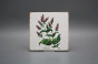 Set of tiles Forli Blanco 15x15cm Herbs 6-piece č.2