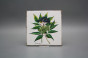 Set of tiles Forli Blanco 15x15cm Herbs 6-piece č.5