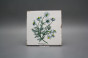 Set of tiles Forli Blanco 15x15cm Herbs 6-piece č.6