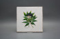 Set of tiles Forli Blanco 20x20cm Herbs 6-piece č.2