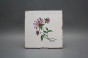 Set of tiles Forli Blanco 20x20cm Herbs 6-piece č.4