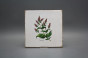 Set of tiles Forli Blanco 20x20cm Herbs 6-piece č.6