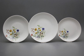 Plate set Coup Flowering meadow Motive B 12-piece HBB