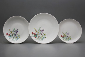 Plate set Coup Flowering meadow Motive C 12-piece HBB