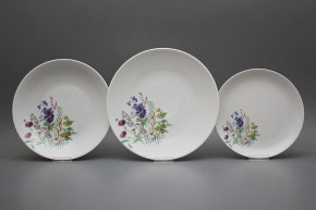 Plate set Coup Flowering meadow Motive D 12-piece HBB