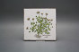 Set of tiles Forli Blanco 15x15cm Herbs Classic 6-piece č.2