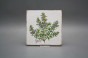 Set of tiles Forli Blanco 15x15cm Herbs Classic 6-piece č.3