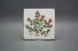 Set of tiles Forli Blanco 15x15cm Herbs Classic 6-piece č.4