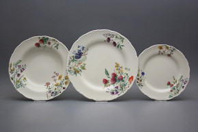 Plate set Ofelia Ivory Flowering meadow 36-piece CBB