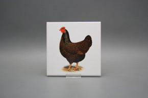 Tile COLOR ONE 15x15cm Hens WM