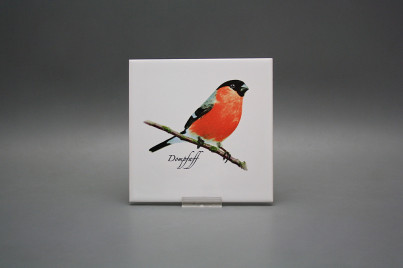 Tile COLOR ONE 15x15cm Bullfinch WL č.1