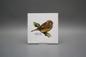 Tile COLOR ONE 15x15cm Sparrow WL