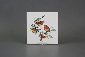 Tile COLOR ONE 15x15cm Robin WL