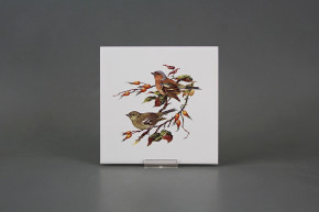 Tile COLOR ONE 15x15cm Chaffinch WL