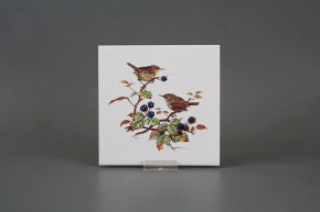 Tile COLOR ONE 15x15cm Wren WM