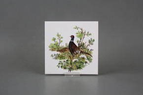 Tile COLOR ONE 15x15cm Pheasant WL