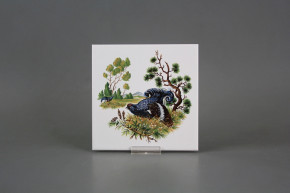 Tile COLOR ONE 15x15cm Black grouse WL