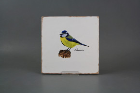 Tile Forli Blanco 20x20cm Blue tit