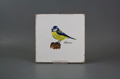 Tile Forli Blanco 20x20cm Blue tit č.1