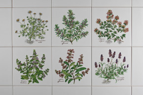 Set of tiles COLOR ONE 15x15cm Herbs Classic 6-piece WL