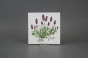 Set of tiles COLOR ONE 15x15cm Herbs Classic 6-piece WL č.3