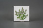 Set of tiles COLOR ONE 15x15cm Herbs Classic 6-piece WL č.5