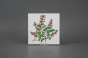 Set of tiles COLOR ONE 15x15cm Herbs Classic 6-piece WL č.6