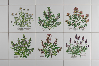 Set of tiles COLOR ONE 15x15cm Herbs Classic 6-piece WM č.1