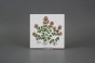 Set of tiles COLOR ONE 15x15cm Herbs Classic 6-piece WM č.5