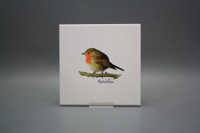 Tile COLOR ONE 20x20cm Robin WL