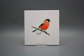 Tile COLOR ONE 20x20cm Bullfinch WL