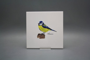 Tile COLOR ONE 20x20cm Blue tit WL