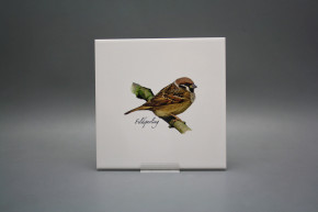 Tile COLOR ONE 20x20cm Sparrow WL