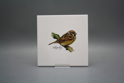 Tile COLOR ONE 20x20cm Sparrow WL č.1