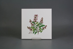 Set of tiles COLOR ONE 20x20cm Herbs Classic 6-piece WL