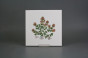 Set of tiles COLOR ONE 20x20cm Herbs Classic 6-piece WL č.3