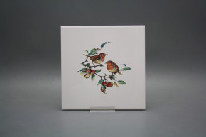 Tile COLOR ONE 20x20cm Robin WL