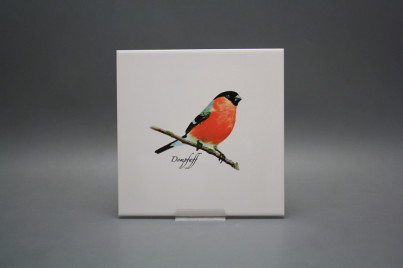 Tile COLOR ONE 20x20cm Bullfinch WM č.1