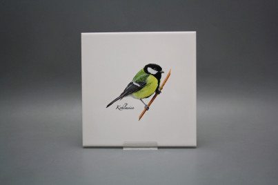 Tile COLOR ONE 20x20cm Great tit WM č.1