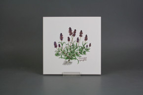 Set of tiles COLOR ONE 20x20cm Herbs Classic 6-piece WM