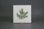 Set of tiles COLOR ONE 20x20cm Herbs Classic 6-piece WM č.5