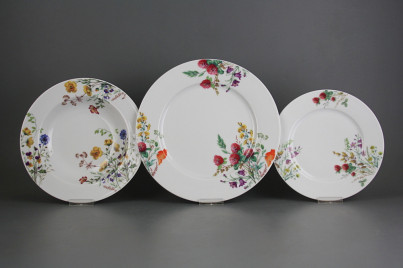 Plate set Nina Flowering meadow 12-piece CBB č.1