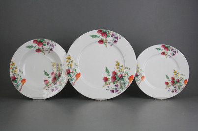 Plate set Nina Flowering meadow Pattern A 12-piece CBB č.1