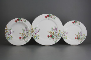 Plate set Nina Flowering meadow Pattern C 36-piece CBB