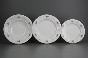 Plate set Benedikt Pink roses 12-piece R4T ABB