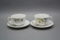 Tea set Opal Flowering meadow Pattern B 15-piece HBB č.8